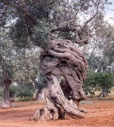 Piazzetta Barone Incalzi Ostuni